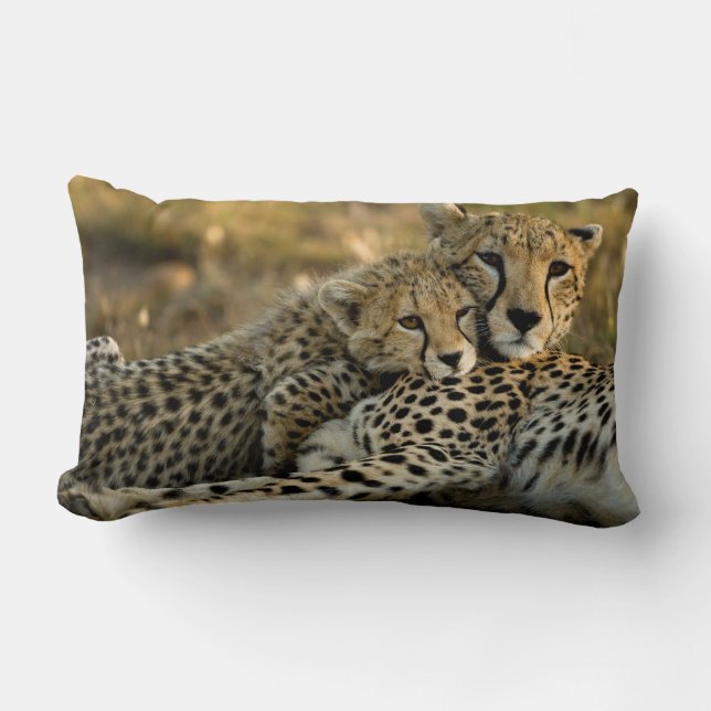 Cheetah Cub Snuggling mit seiner Mama Lendenkissen (Vorderseite)