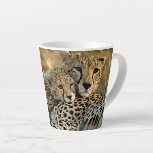 Cheetah Cub Snuggling mit seiner Mama Milchtasse (Rechte Ecke)