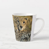 Cheetah Cub Snuggling mit seiner Mama Milchtasse (Rechts)