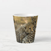 Cheetah Cub Snuggling mit seiner Mama Milchtasse (Vorderseite)