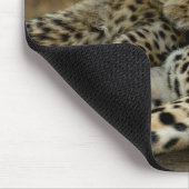 Cheetah Cub Snuggling mit seiner Mama Mousepad (Ecke)