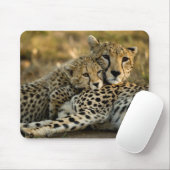 Cheetah Cub Snuggling mit seiner Mama Mousepad (Mit Mouse)