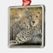 Cheetah Cub Snuggling mit seiner Mama Ornament Aus Metall (Links)