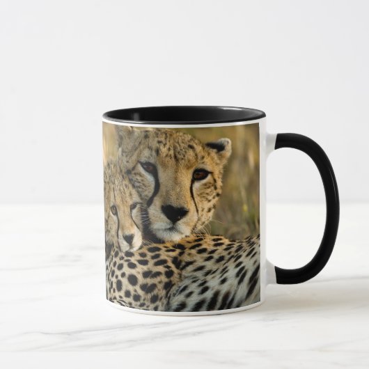 Cheetah Cub Snuggling mit seiner Mama Tasse (Rechts)