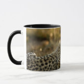 Cheetah Cub Snuggling mit seiner Mama Tasse (Links)