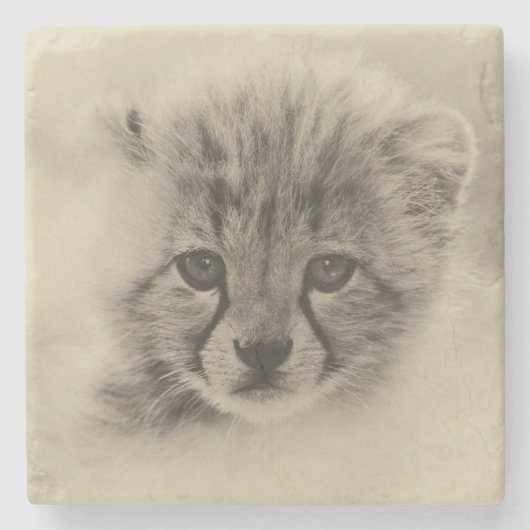 Cheetah Cub Steinuntersetzer (Vorderseite)