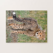 Cheetah Cub sucht Ihren Weg. Puzzle (Horizontal)