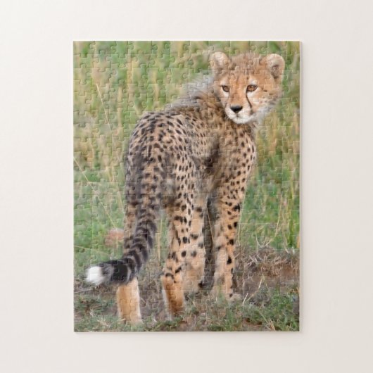 Cheetah Cub sucht Ihren Weg. Puzzle (Vertikal)