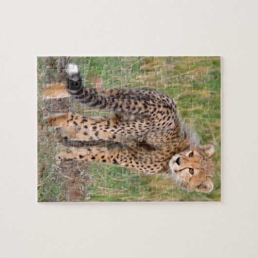 Cheetah Cub sucht Ihren Weg. Puzzle (Horizontal)
