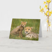 Cheetah Cub und Eltern im Gras Karte (Gelbe Blume)