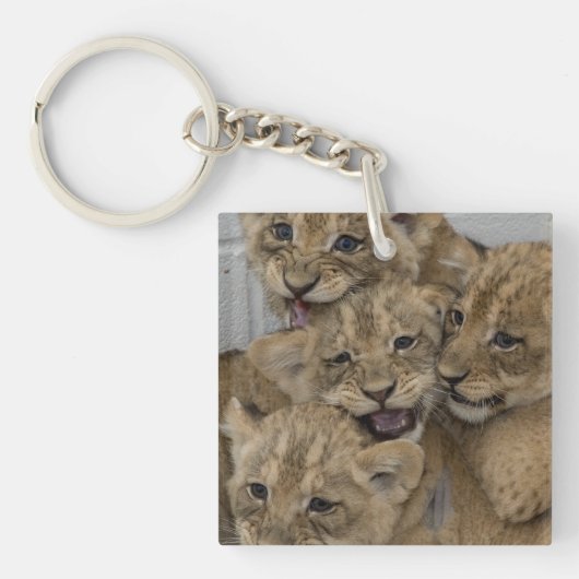 Cheetah Cubs Playing Schlüsselanhänger (Vorderseite)