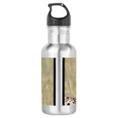Cheetah Edelstahlflasche (Rückseite)