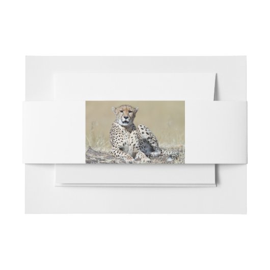 Cheetah Einladungsbanderole (Vorderseite Beispiel)