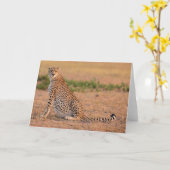 Cheetah-Erholung in frühen Morgenstunden Karte (Gelbe Blume)