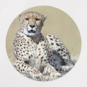 Cheetah Etiketten (Design 1)