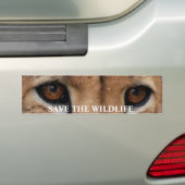 Cheetah Eyes1, RETTEN die WILD LEBENDEN TIERE Autoaufkleber (Auf Auto)