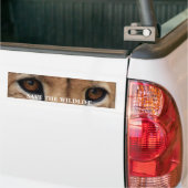 Cheetah Eyes1, RETTEN die WILD LEBENDEN TIERE Autoaufkleber (Auf Lkw)
