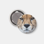 Cheetah face magnet (Vorderseite/Rückseite)
