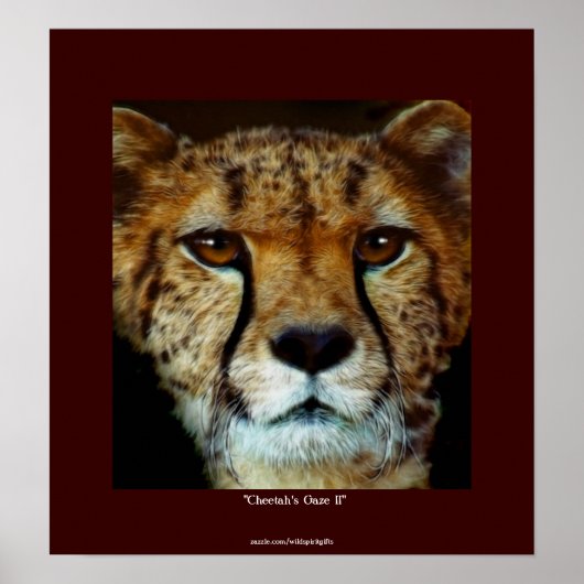 CHEETAH FACE Wildlife Art Poster (Vorne)