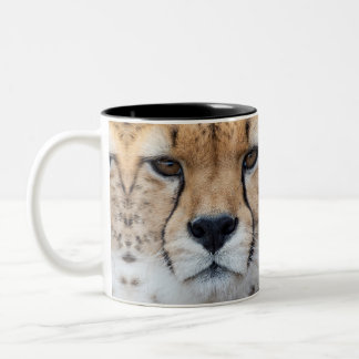 Cheetah face zweifarbige tasse
