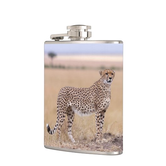 Cheetah Flachmann (Links)