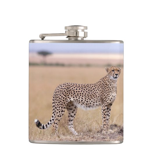 Cheetah Flachmann (Vorderseite)