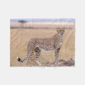 Cheetah Fleecedecke (Vorderseite (Horizontal))