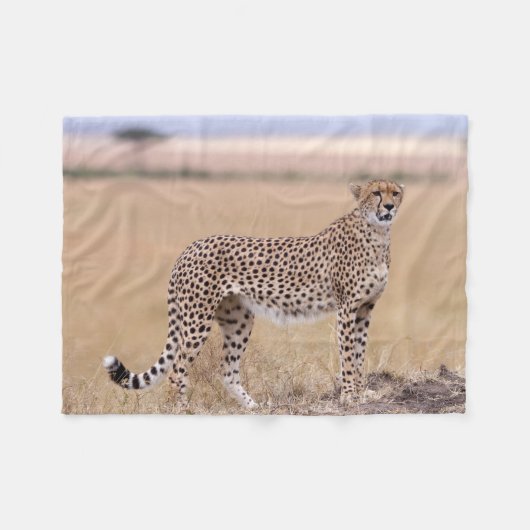 Cheetah Fleecedecke (Vorderseite (Horizontal))