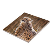 Cheetah Fliese (Seite)
