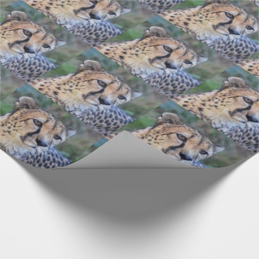 Cheetah-Foto Geschenkpapier (Ecke)