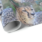 Cheetah-Foto Geschenkpapier (Rolleneckpunkt)