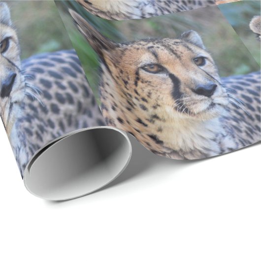 Cheetah-Foto Geschenkpapier (Rolleneckpunkt)