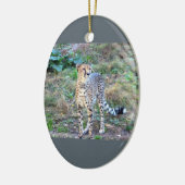 Cheetah-Foto Keramikornament (Links)