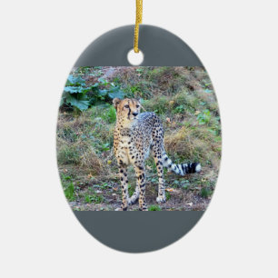 Cheetah-Foto Keramikornament