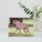 Cheetah Foto Postkarte (Stehend Vorderseite)