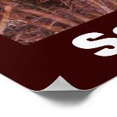 Cheetah Foto Rette unser Wildlife Poster (Ecke)