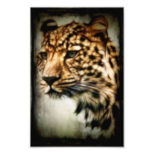 Cheetah Fotodruck