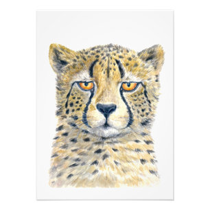Cheetah Fotodruck
