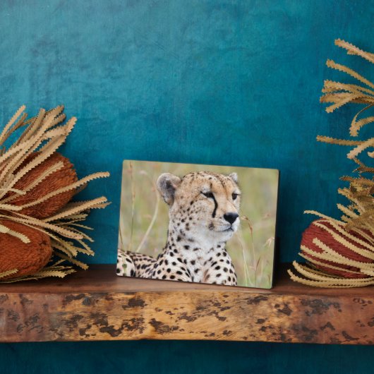 Cheetah Fotoplatte (Seite)