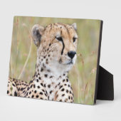 Cheetah Fotoplatte (Seite)