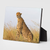 Cheetah Fotoplatte (Seite)