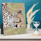 Cheetah Fotoplatte (Seite)