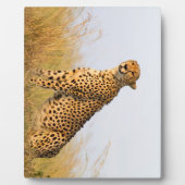 Cheetah Fotoplatte (Vorderseite)