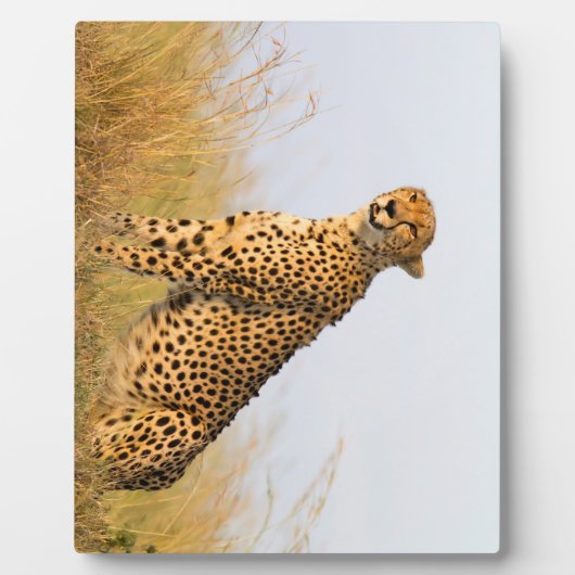 Cheetah Fotoplatte (Vorderseite)