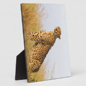 Cheetah Fotoplatte (Seite)