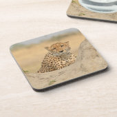 Cheetah Gaze Untersetzer (Linke Seite)