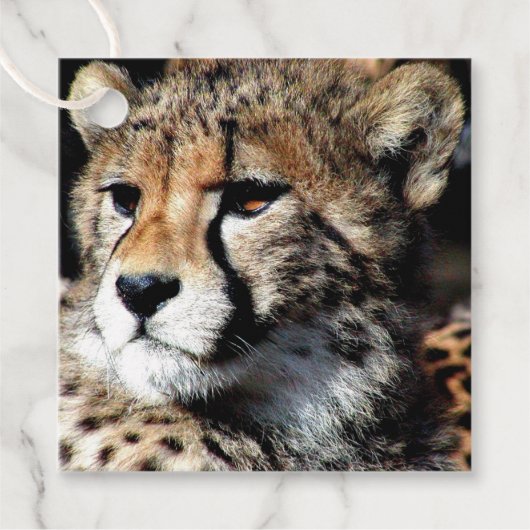 Cheetah Geschenkanhänger (Vorderseite)