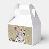 Cheetah Geschenkschachtel (Rückseite)