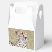 Cheetah Geschenkschachtel (Geöffnet)