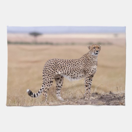 Cheetah Geschirrtuch (Horizontal)